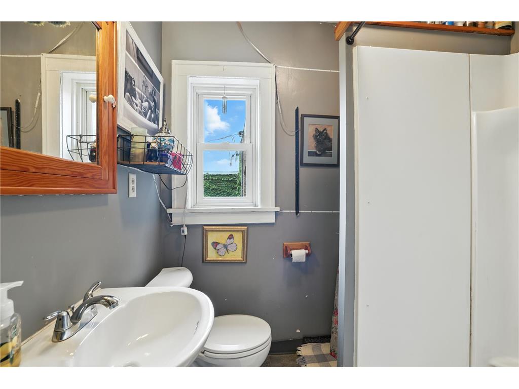 205 S Main Street Le Sueur MN 56058 6770424 image36