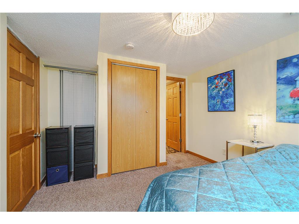 2050 Lake View Drive Prior Lake MN 55352 - Spring 7067385 image37