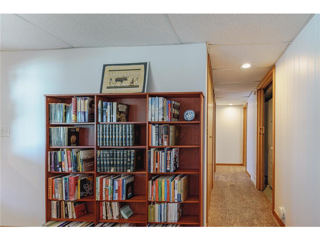 2050 Lake View Drive Prior Lake MN 55352 - Spring 7067385 image39