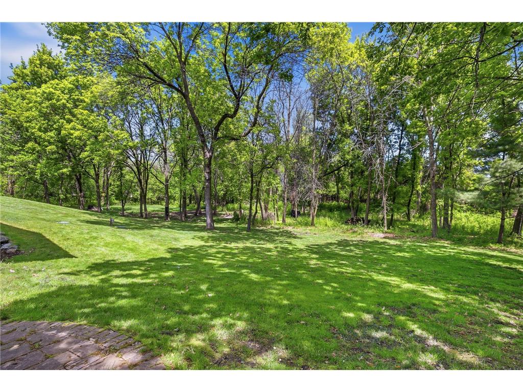 2050 Oakwood Ridge Chanhassen MN 55317 7050705 image26