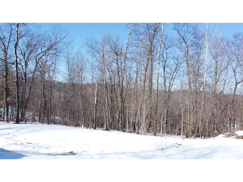 20505 County Road 10 Deerwood Twp MN 56444 7028997 image33