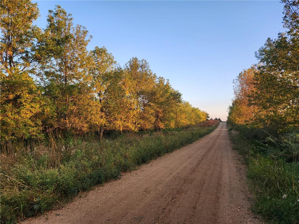 2051 120th Street Balaton MN 56115 6798020 image18