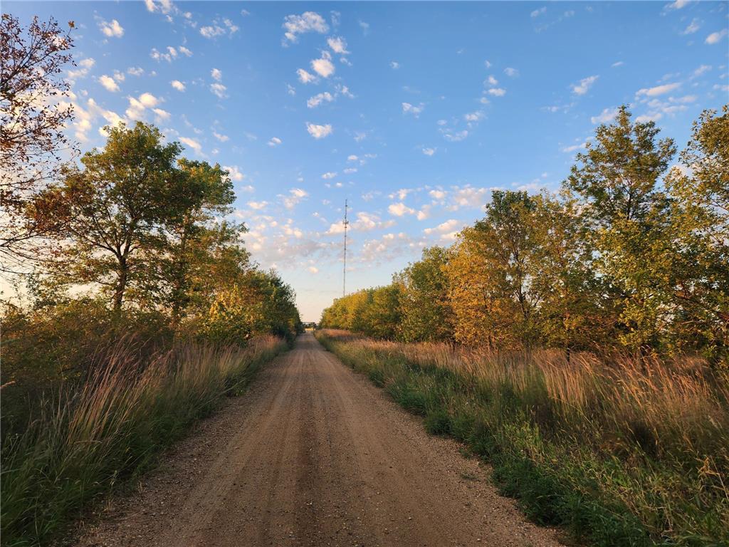 2051 120th Street Balaton MN 56115 6798020 image19