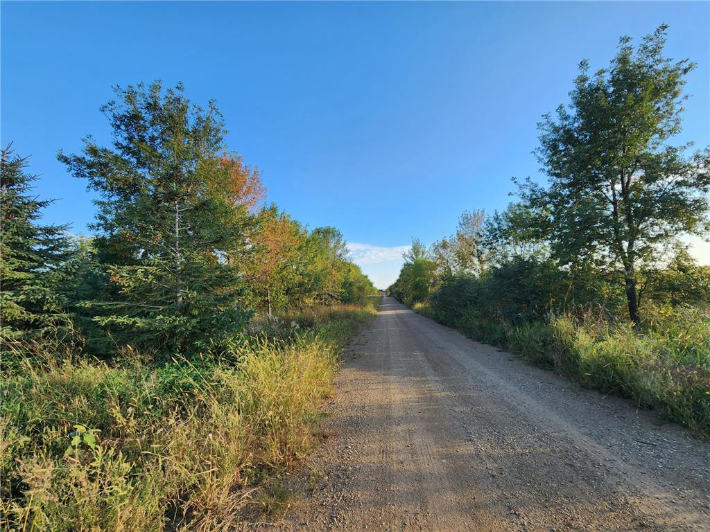 2051 120th Street Balaton MN 56115 6798020 image20