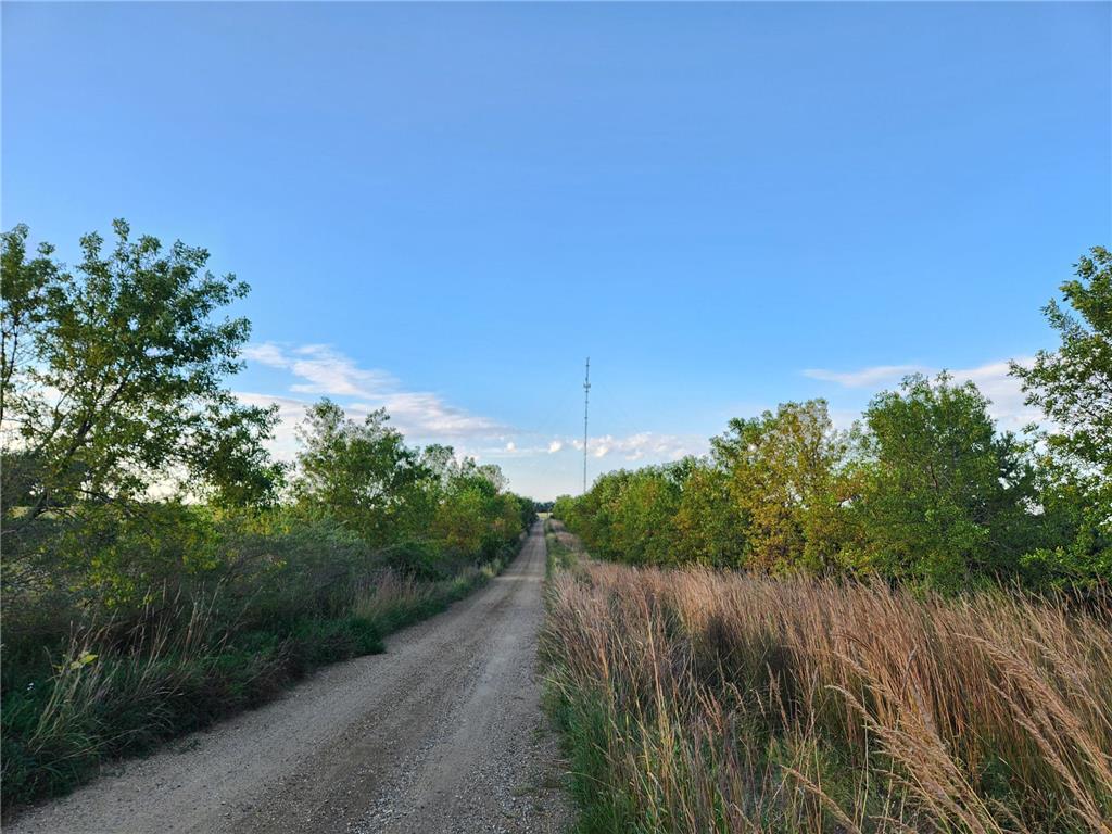 2051 120th Street Balaton MN 56115 6798020 image23