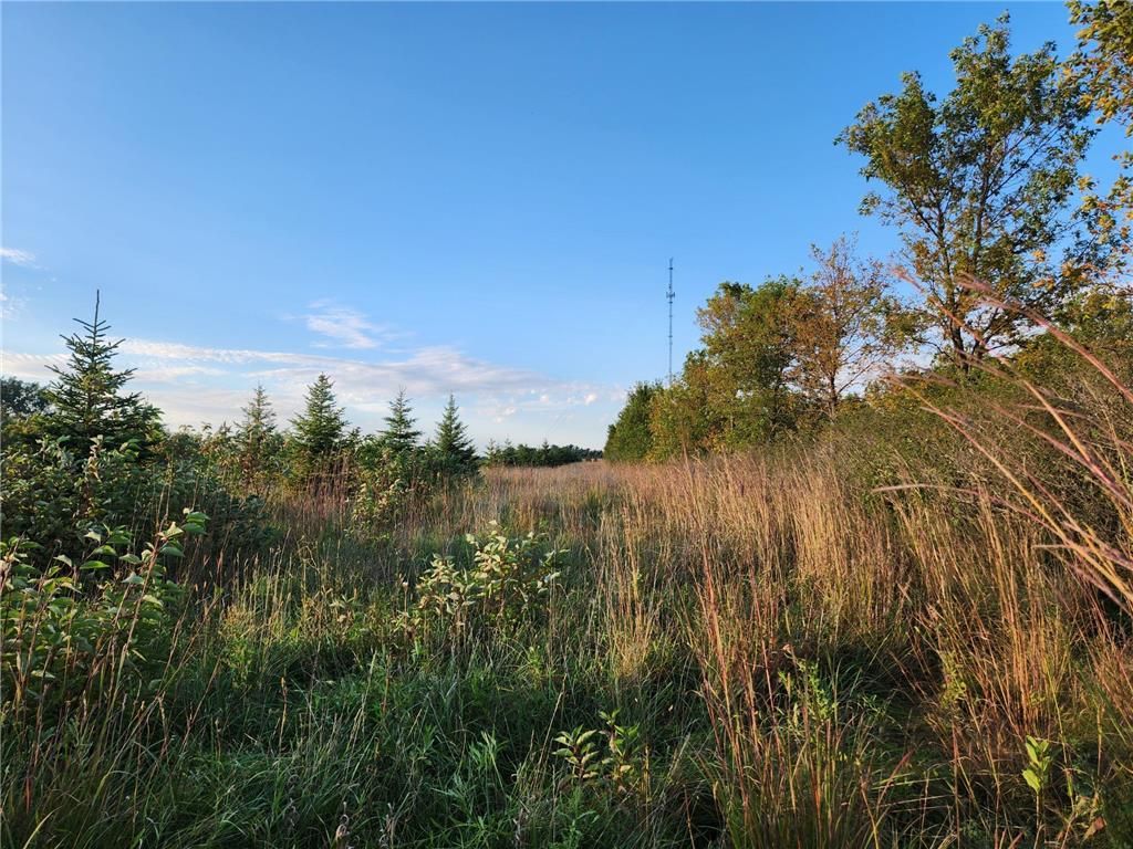 2051 120th Street Balaton MN 56115 6798020 image25