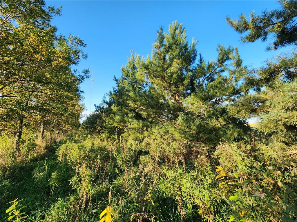 2051 120th Street Balaton MN 56115 6798020 image29