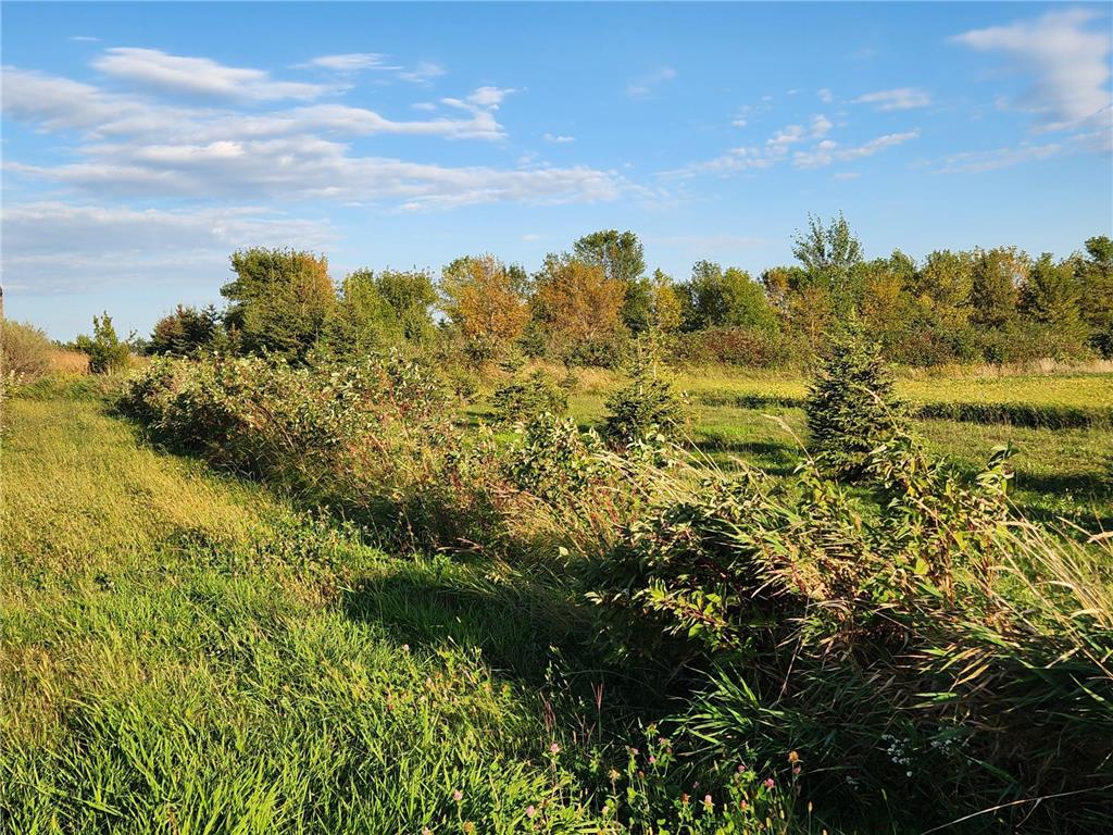 2051 120th Street Balaton MN 56115 6798020 image36