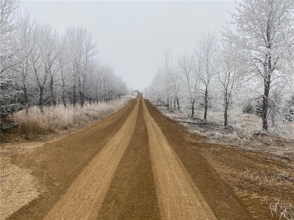 2051 120th Street Balaton MN 56115 6798020 image46