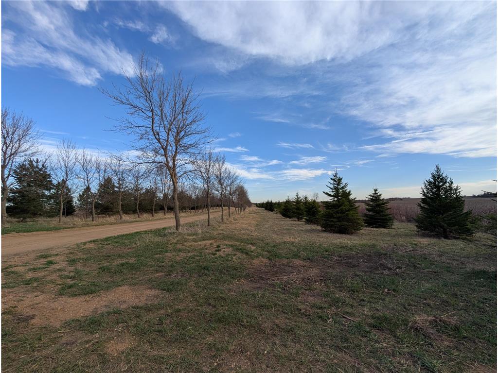 2051 120th Street Balaton MN 56115 6798020 image50