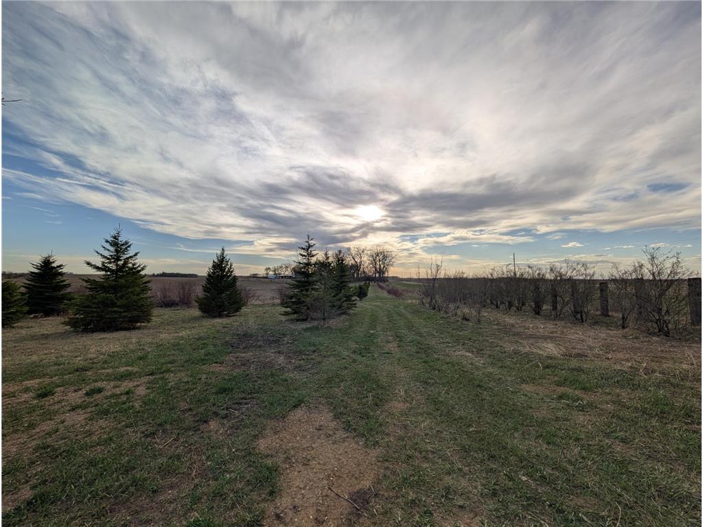 2051 120th Street Balaton MN 56115 6798020 image51