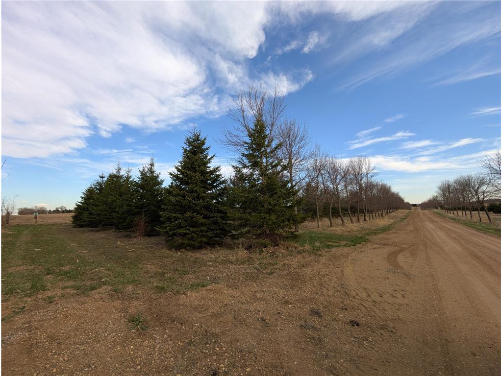 2051 120th Street Balaton MN 56115 6798020 image52