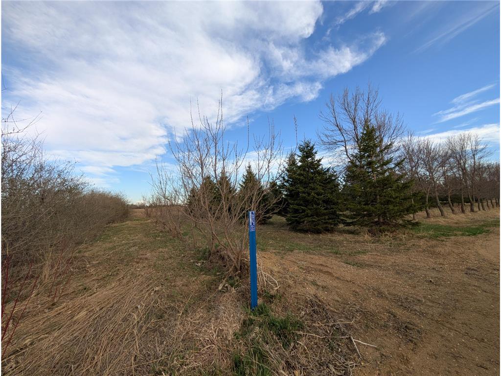 2051 120th Street Balaton MN 56115 6798020 image53