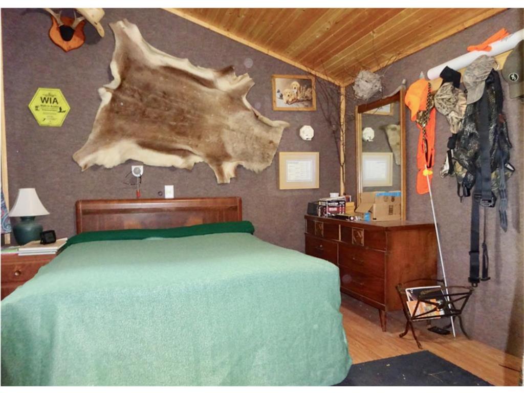 2051 120th Street Balaton MN 56115 6798020 image9