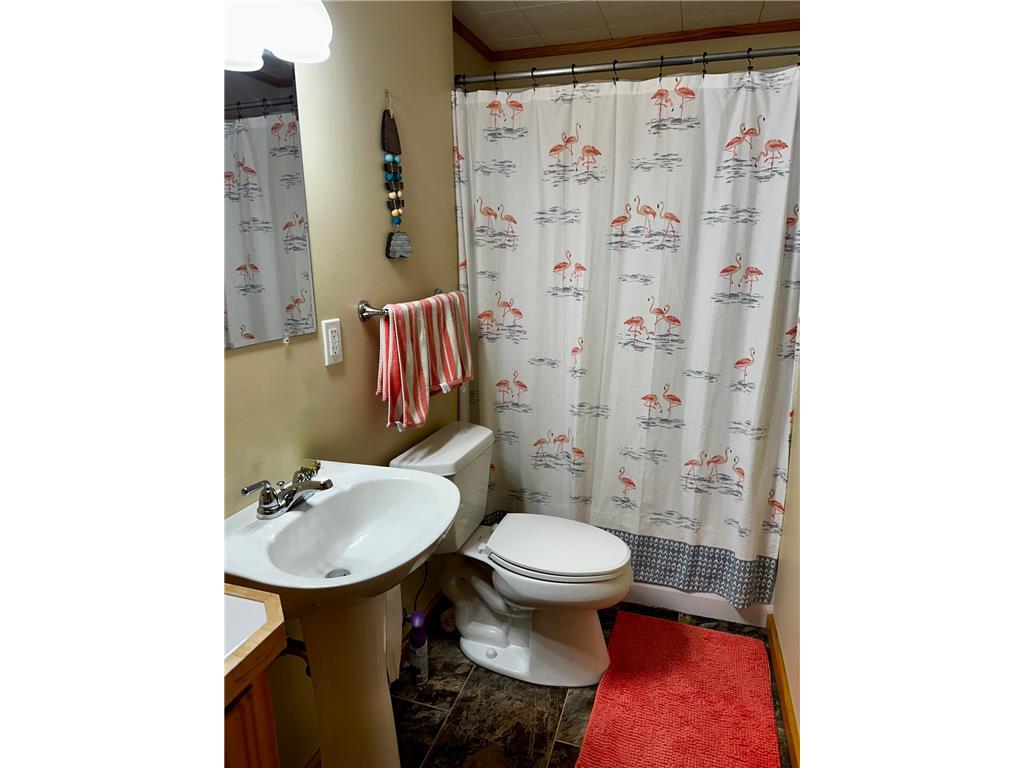 20528 S Lakeshore Drive Glenwood Twp MN 56334 - Minnewaska 7103492 image20