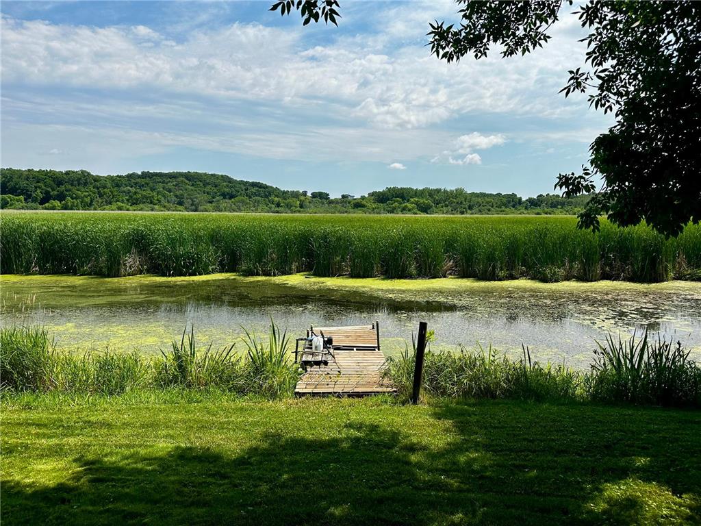 20528 S Lakeshore Drive Glenwood Twp MN 56334 - Minnewaska 7103492 image5