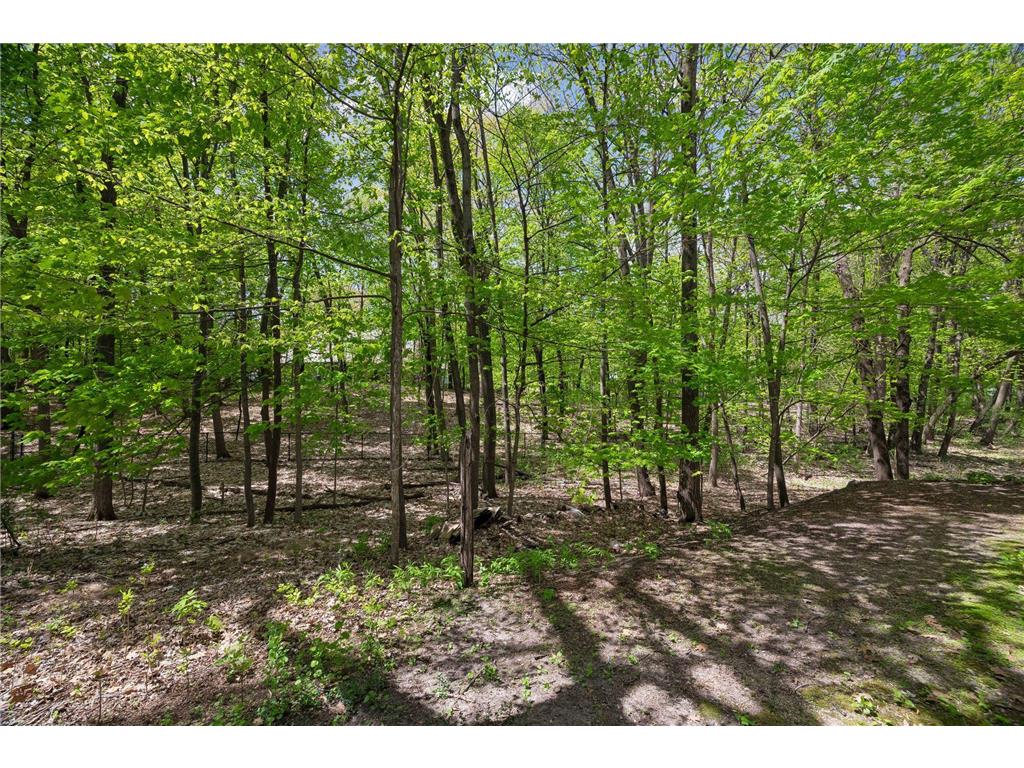 20545 Linden Road Deephaven MN 55331 7070416 image89