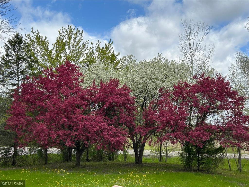 20555 Smith Street NW Elk River MN 55330 7075488 image15
