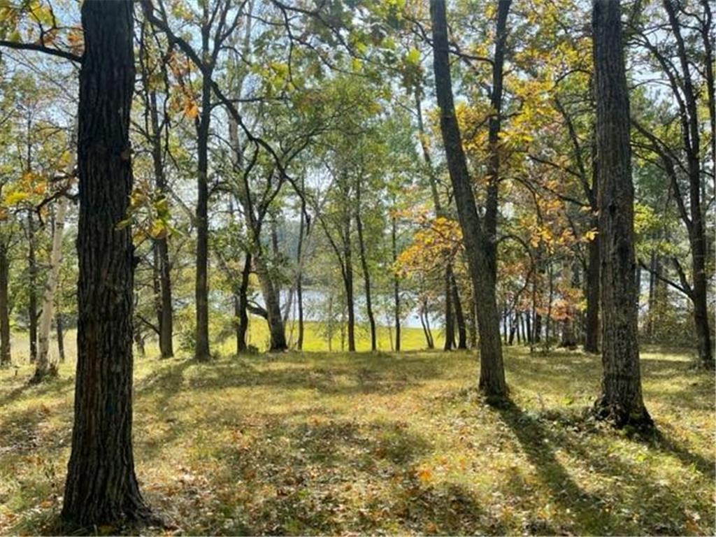 20565 370th Street, Lake MN, 56458 MLS 7739126 Edina Realty