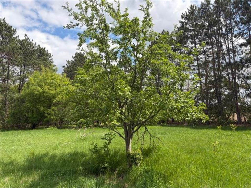 2059 Highway 70 Mora MN 55051 7078979 image10