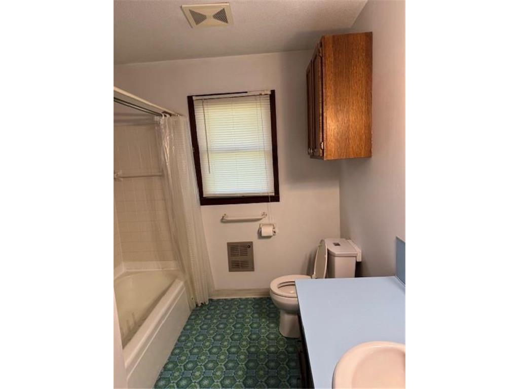 206 3rd Street E Brandon MN 56315 6733778 image14