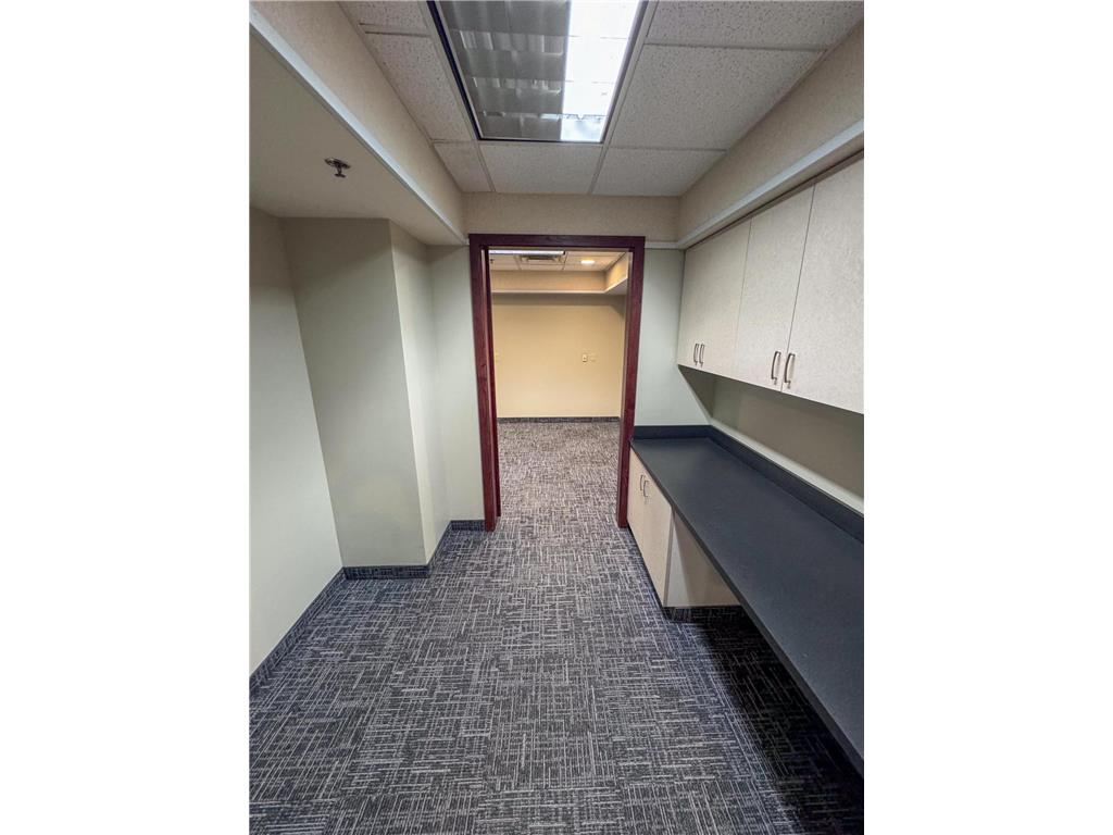 206 Broadway Avenue S Rochester MN 55904 6619371 image11