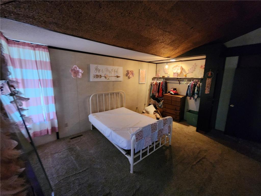 206 E Luella Street Le Roy MN 55951 7045193 image17