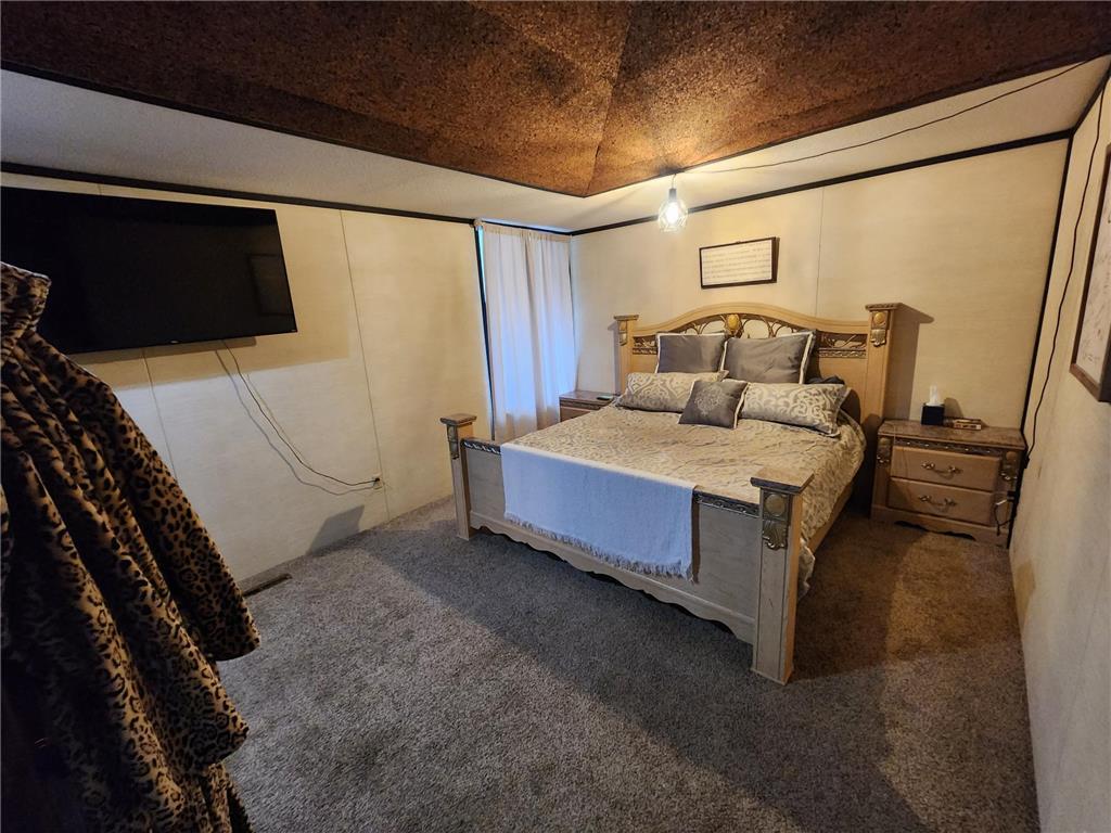 206 E Luella Street Le Roy MN 55951 7045193 image18