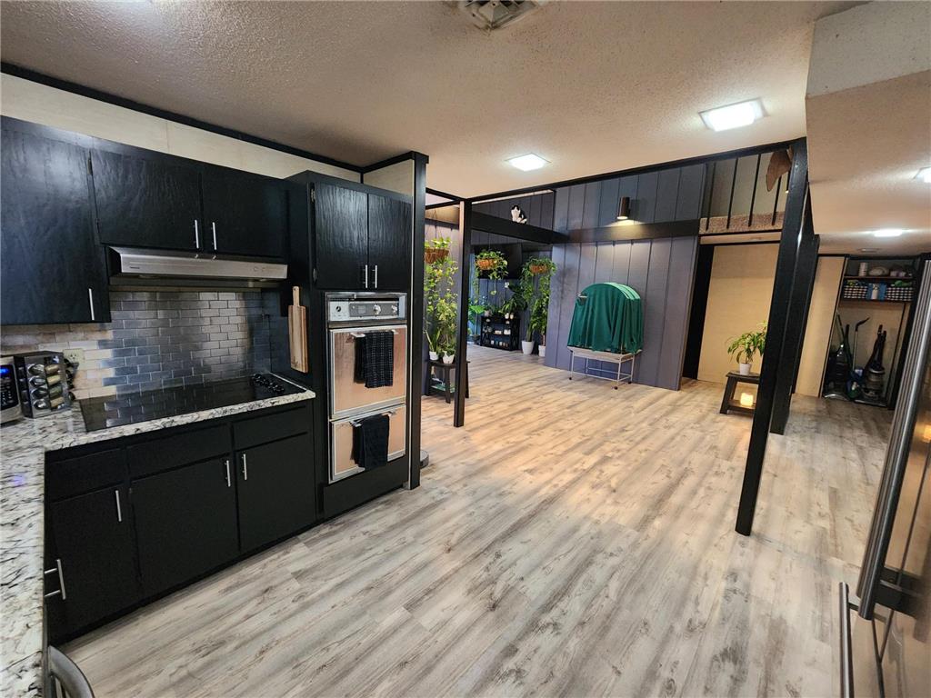 206 E Luella Street Le Roy MN 55951 7045193 image2