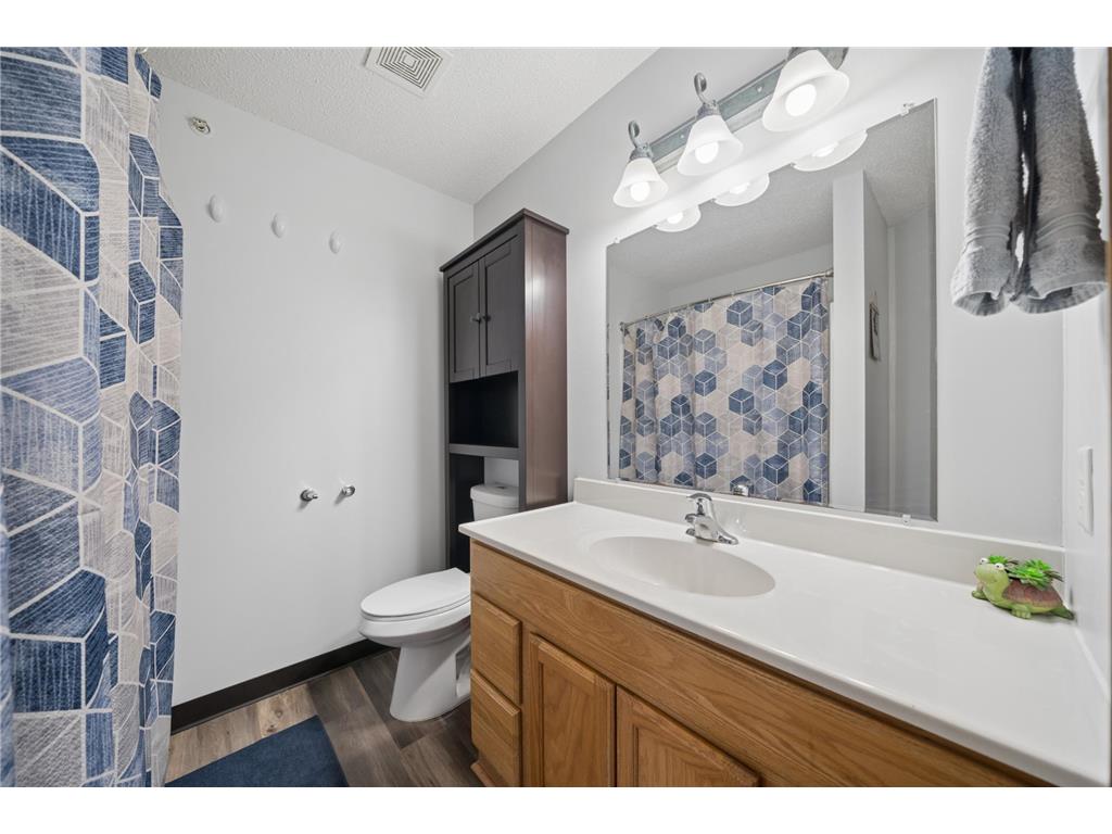 206 E Orchard Street Belle Plaine MN 56011 7057837 image21