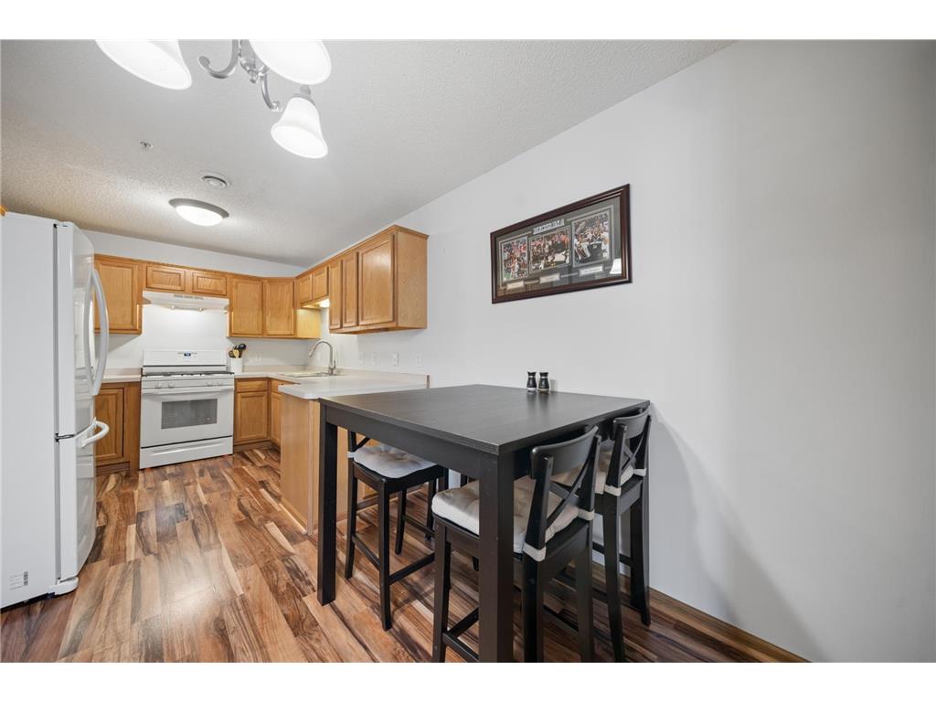 206 E Orchard Street Belle Plaine MN 56011 7057837 image9