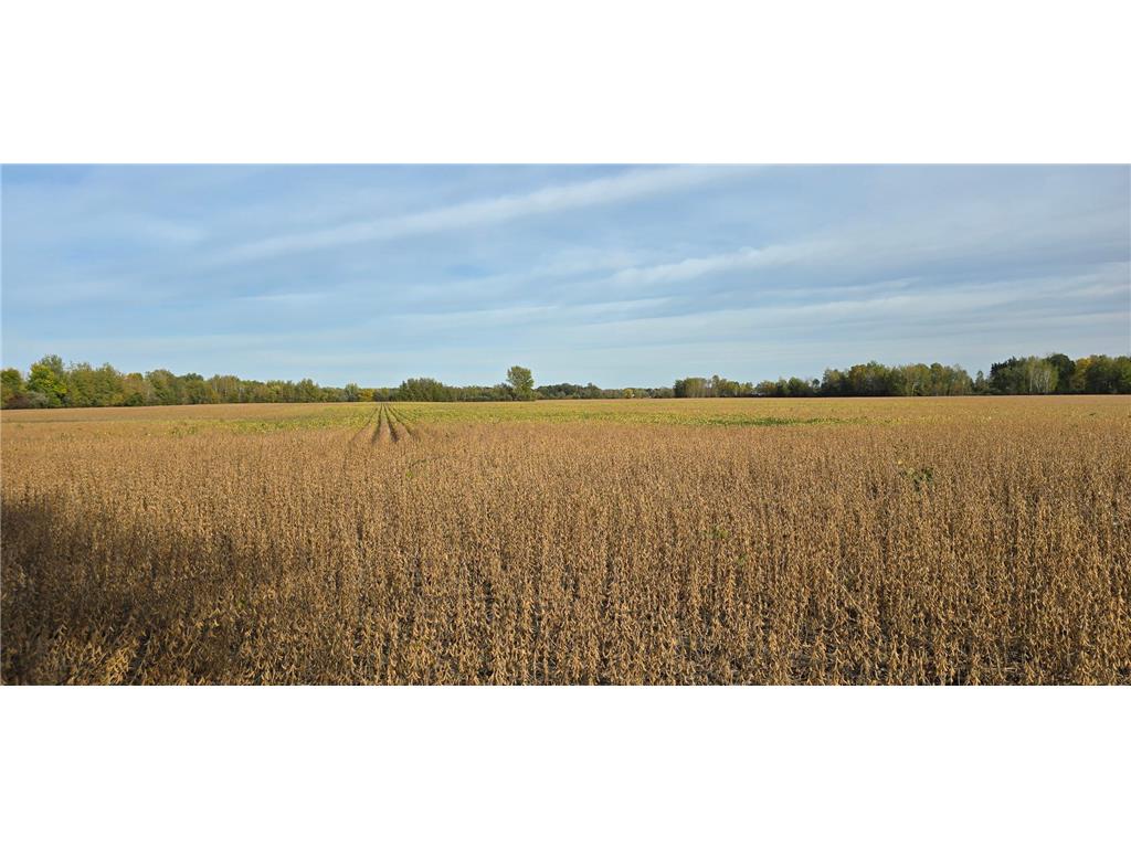 XXX E Olive Street Ogilvie MN 56358 6611836 image1