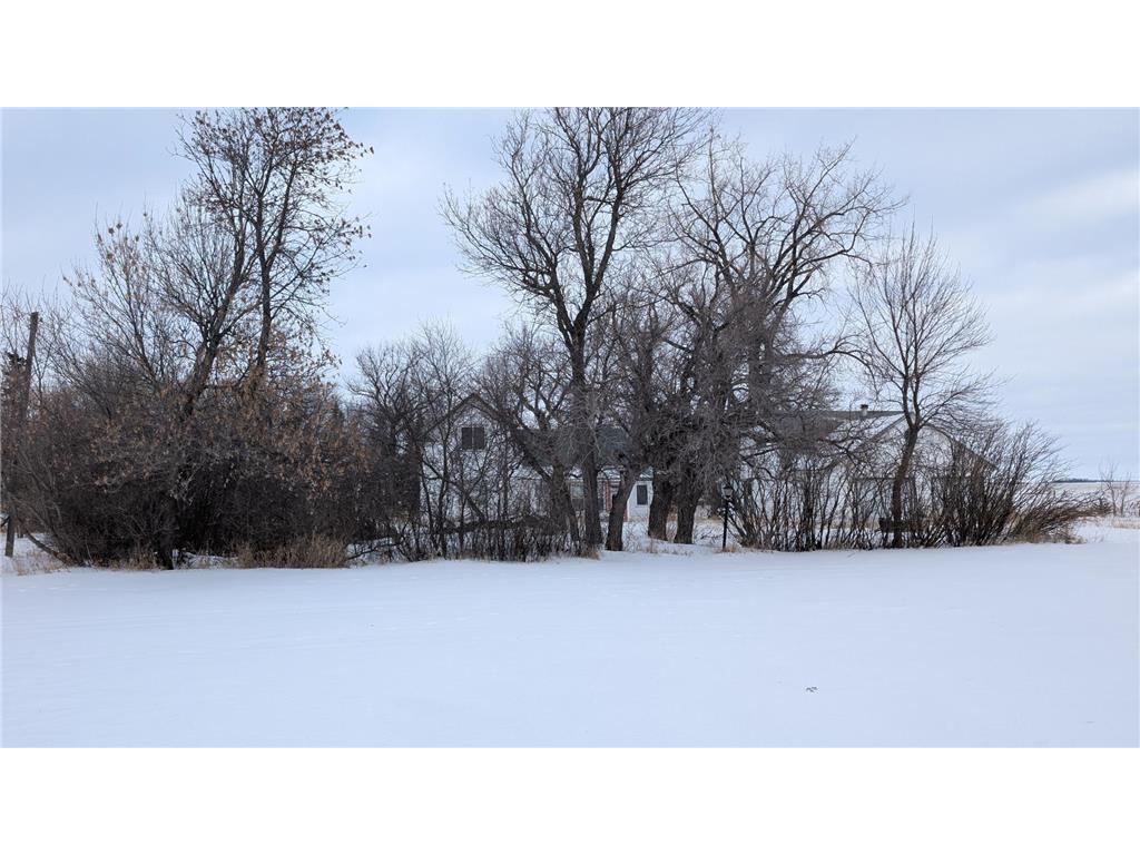 206 Leslie Webster ND 58382 6763862 image27