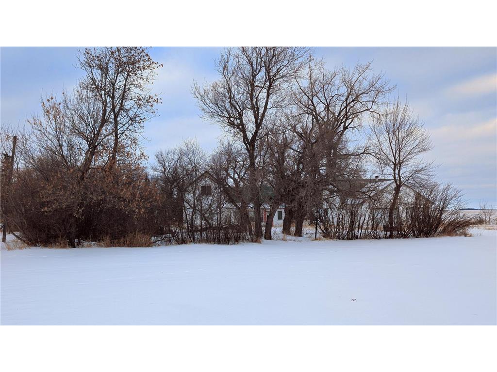 206 Leslie Webster ND 58382 6763862 image29