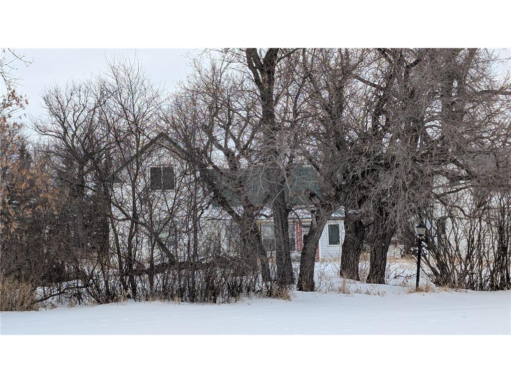 206 Leslie Webster ND 58382 6763862 image30