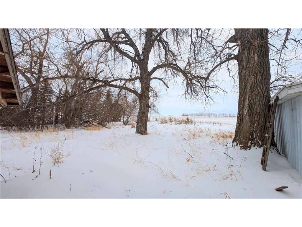 206 Leslie Webster ND 58382 6763862 image35