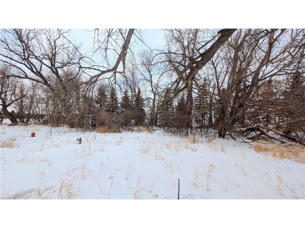 206 Leslie Webster ND 58382 6763862 image37