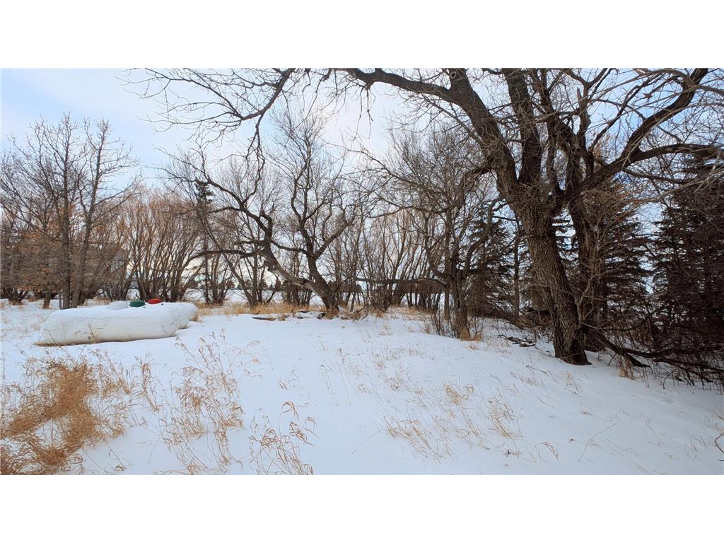 206 Leslie Webster ND 58382 6763862 image38