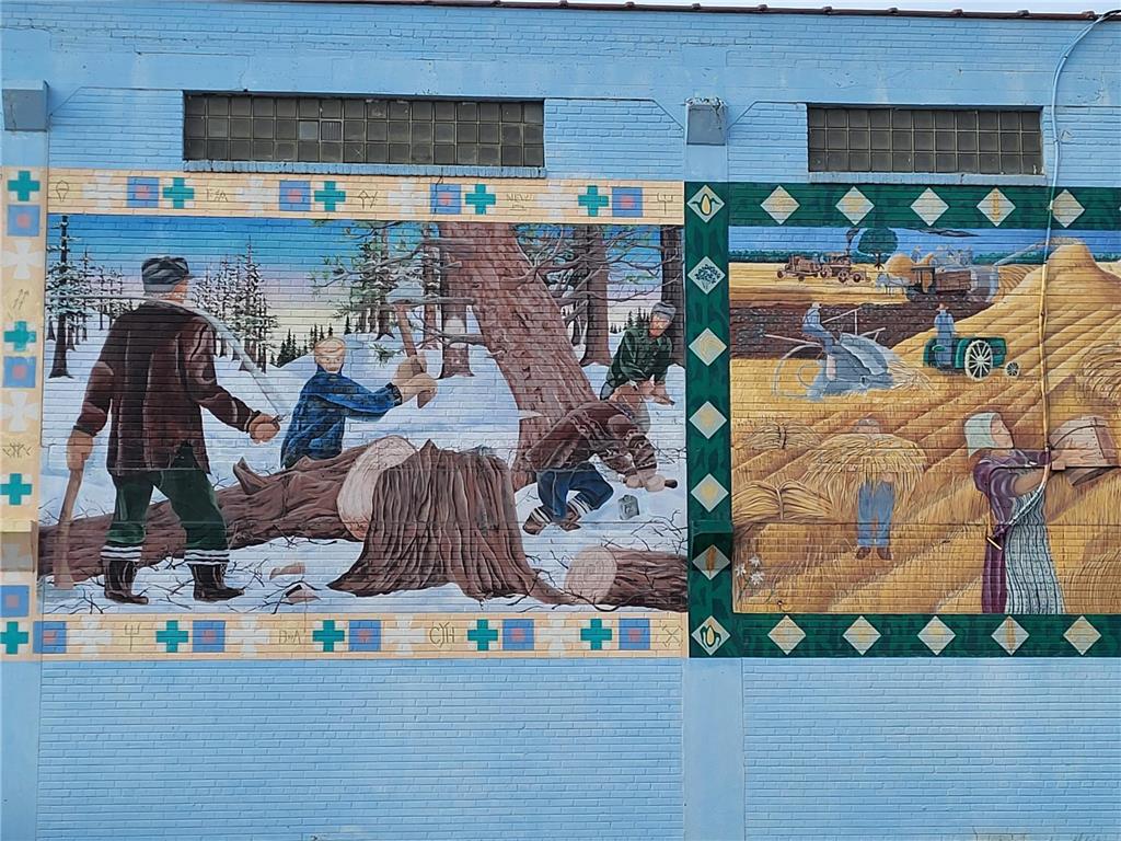 206 Minnesota Avenue W Sebeka MN 56477 6465720 image105