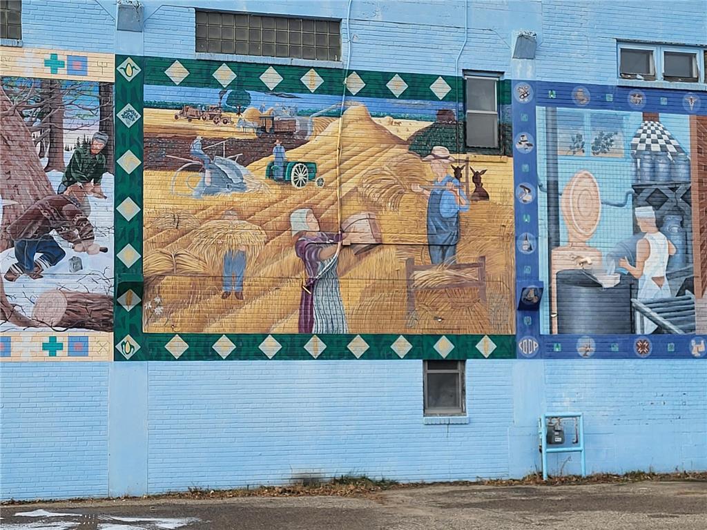 206 Minnesota Avenue W Sebeka MN 56477 6465720 image106