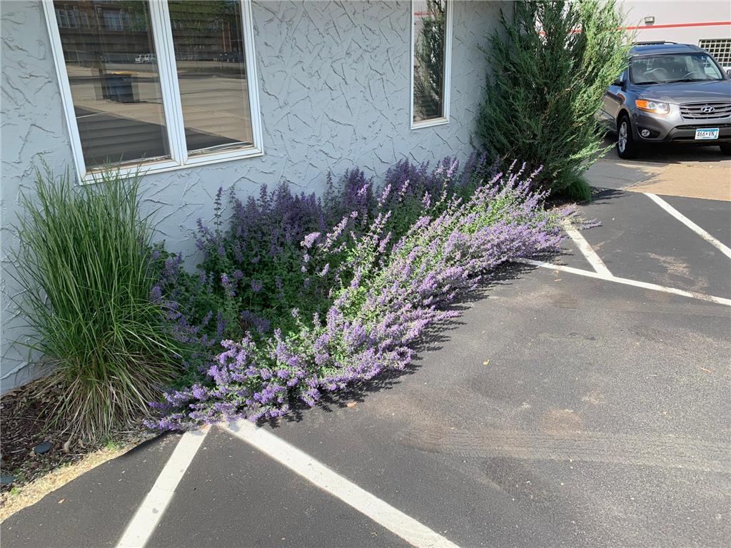 206 Scott Street S Shakopee MN 55379 7029549 image21