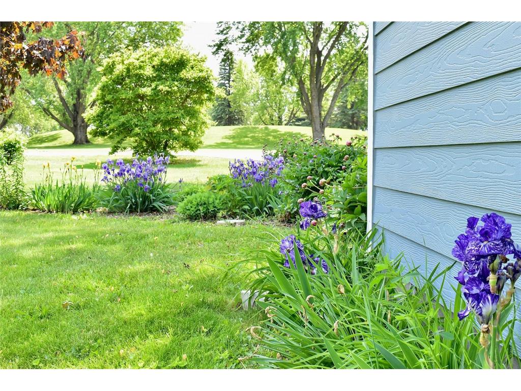 206 Skyline Heights Wabasha MN 55981 6733628 image41