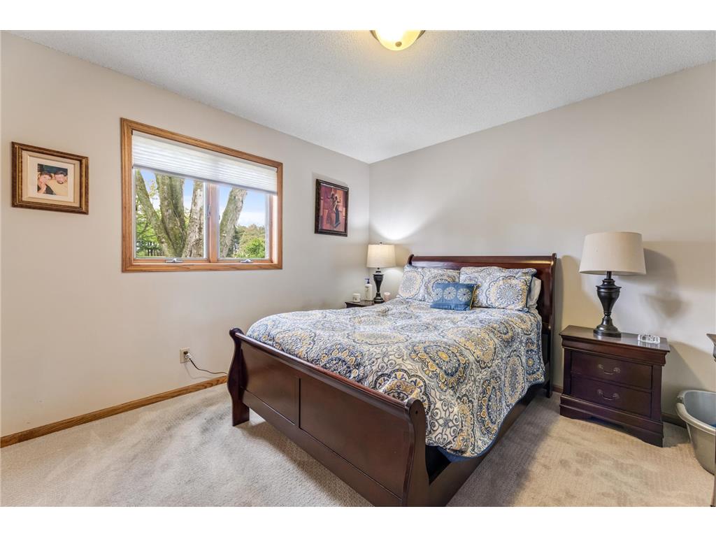 206 Skyline Heights Wabasha MN 55981 7066254 image14