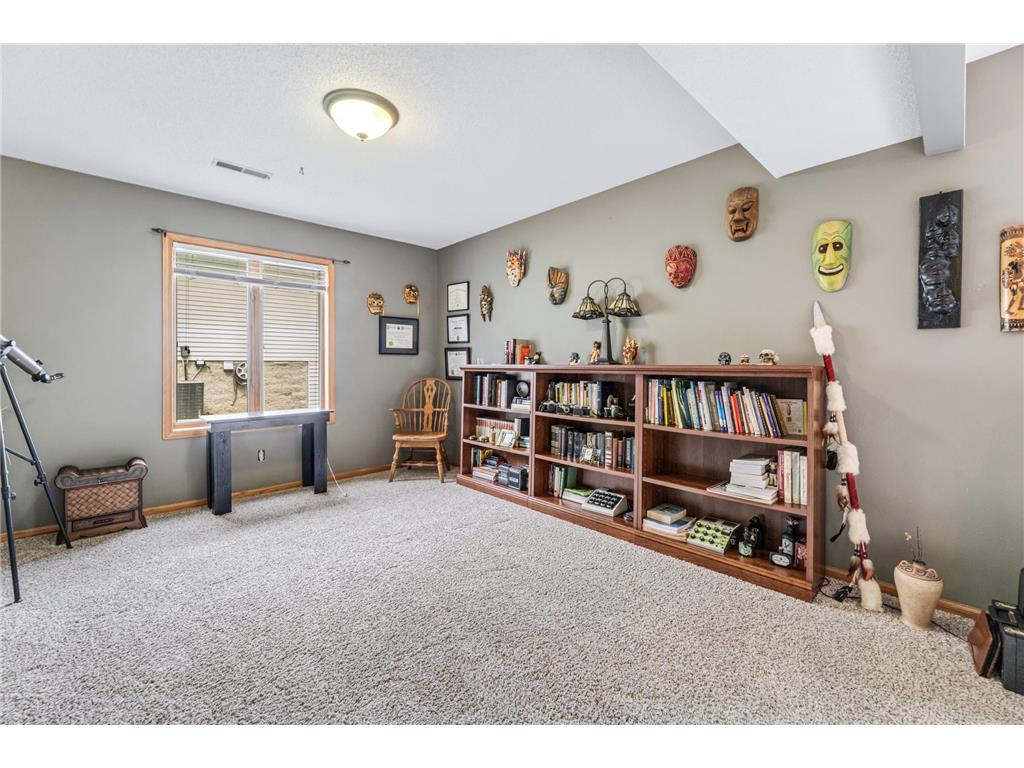 206 Skyline Heights Wabasha MN 55981 7066254 image17