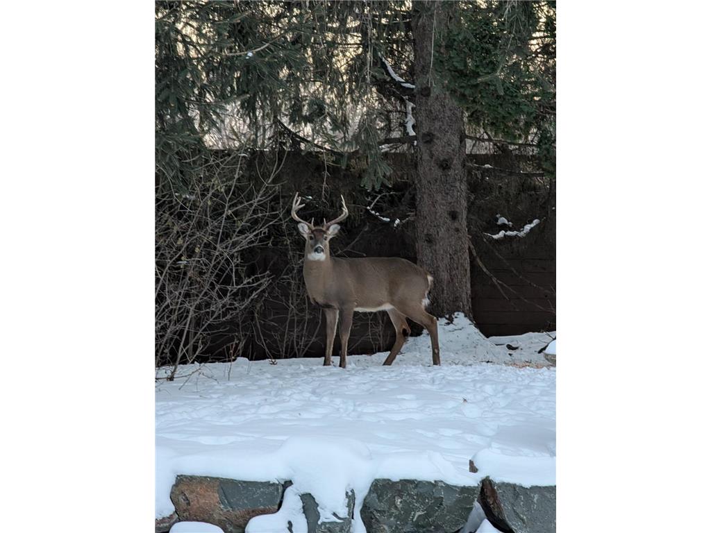 2060 125th Lane NW Coon Rapids MN 55448 7016724 image30