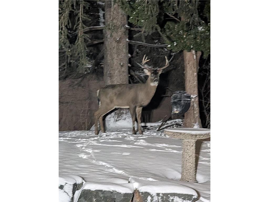 2060 125th Lane NW Coon Rapids MN 55448 7016724 image31