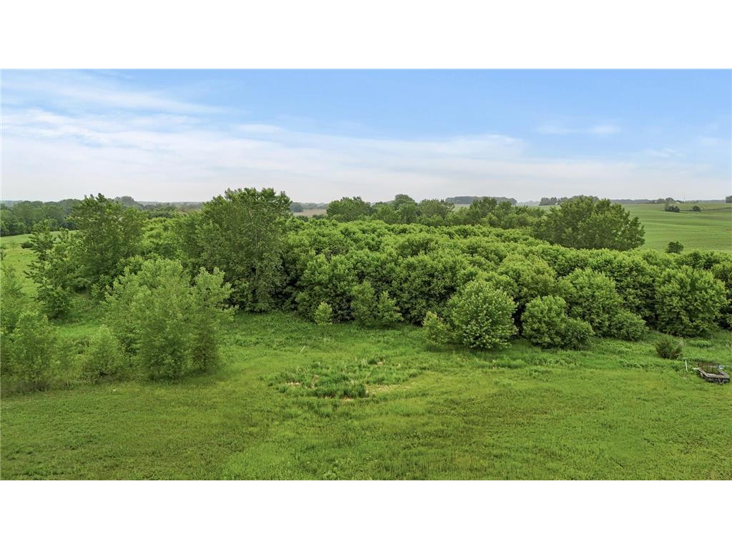 20605 746th Avenue Dassel MN 55325 6680969 image7