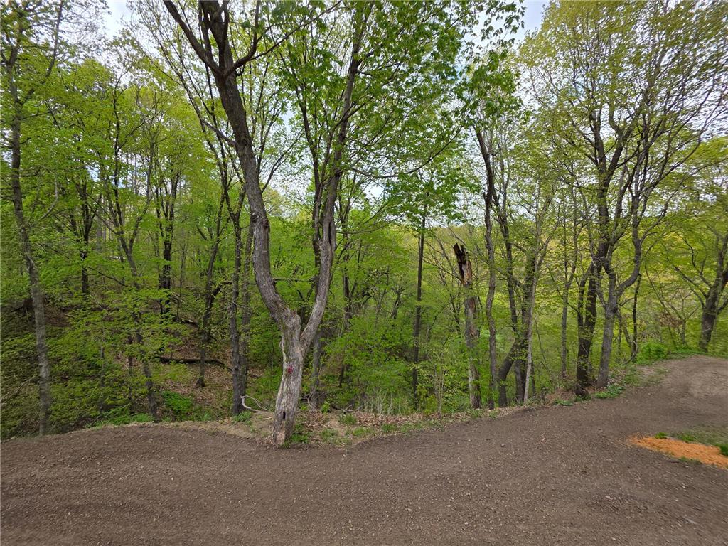 20606 Hilltop Lane Faxon Twp MN 56011 7061426 image28