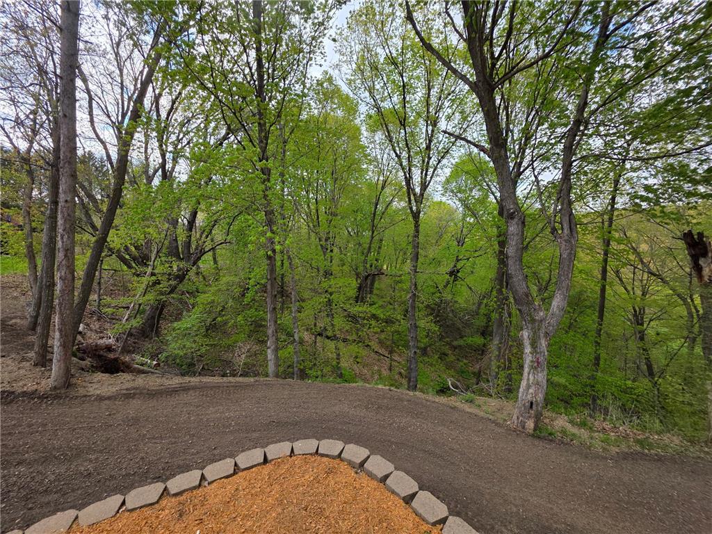20606 Hilltop Lane Faxon Twp MN 56011 7061426 image9