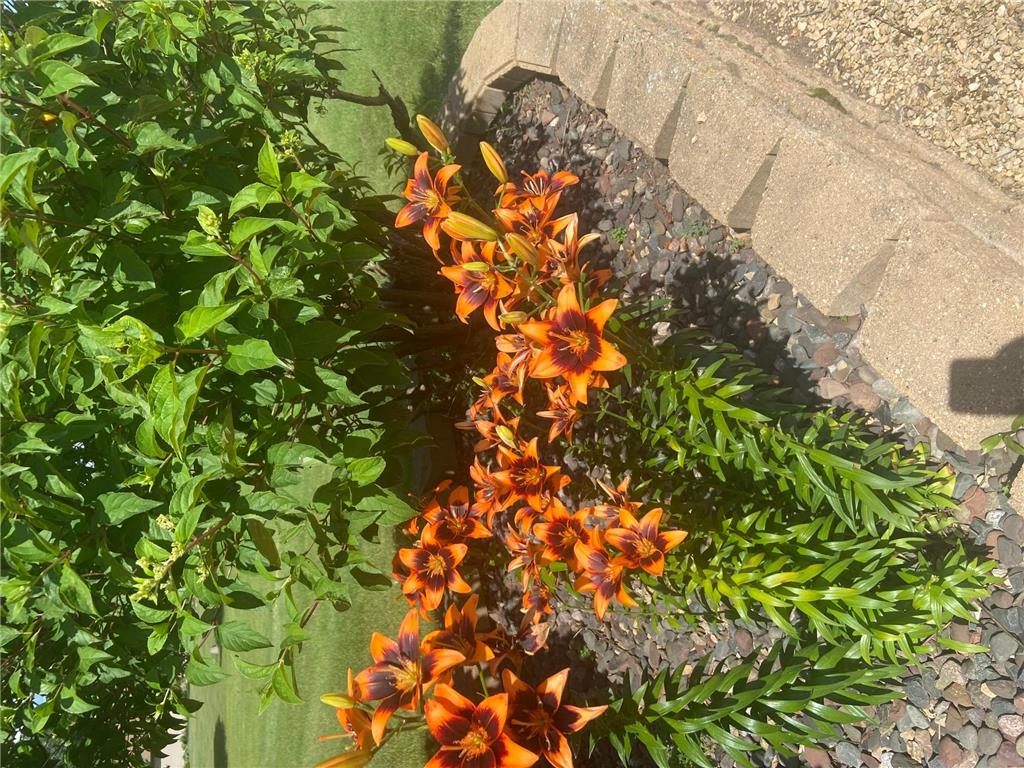 2061 10th Avenue Star Prairie WI 54026 7011183 image49